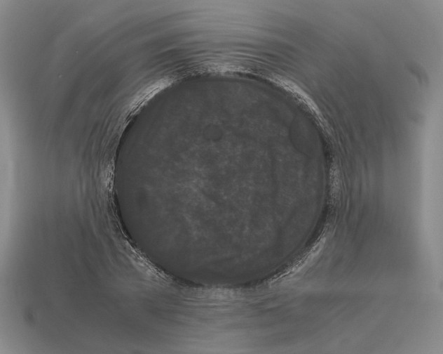 X0000112530785200909281037