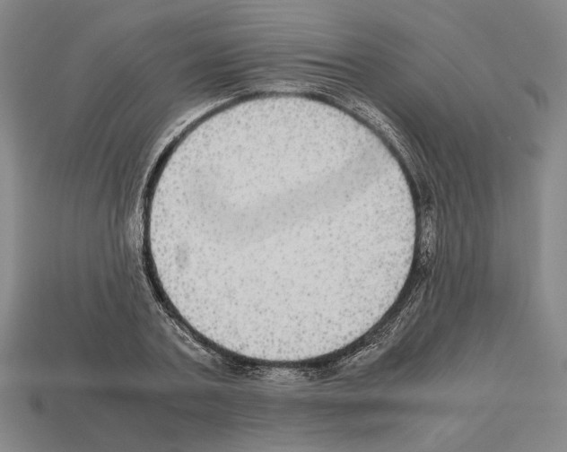 X0000112530787200909281037