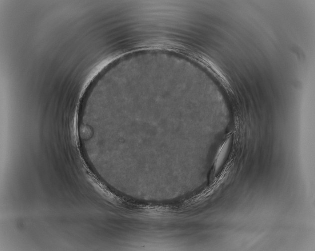 X0000112530788200909281037