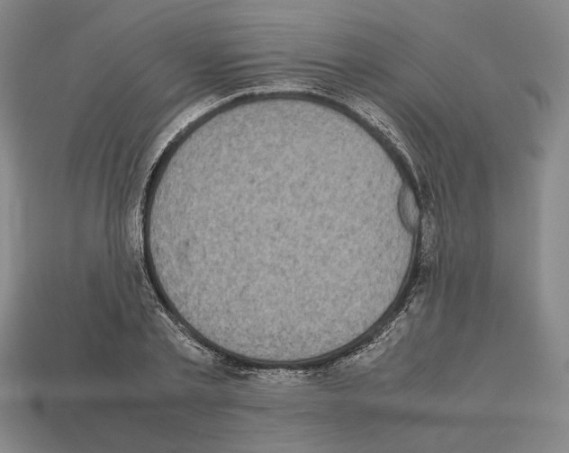 X0000112530789200909281037