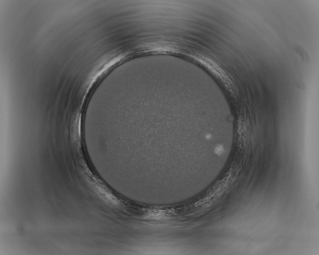 X0000112530790200909281037