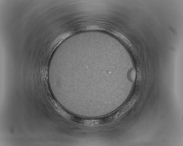 X0000112530793200909281037