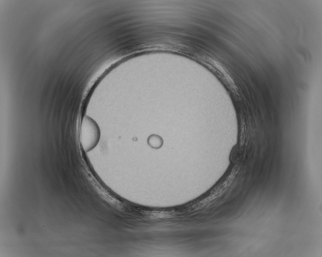 X0000112530796200909281037