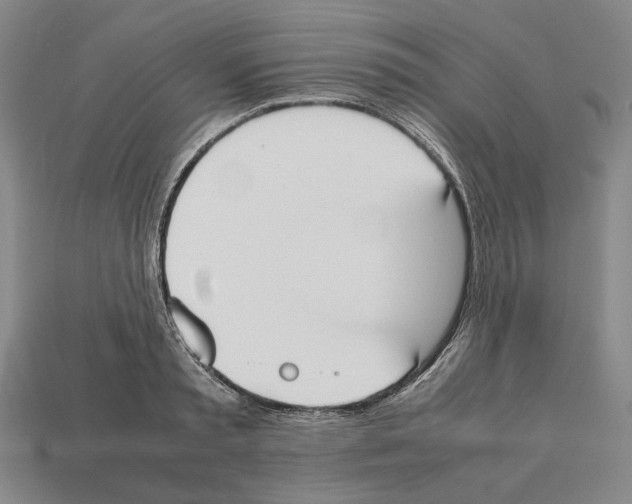 X0000112530797200909281037