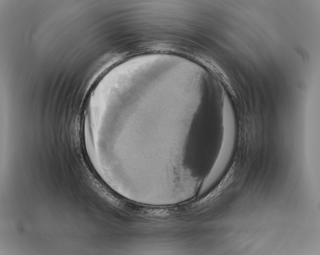 X0000112530798200909281037