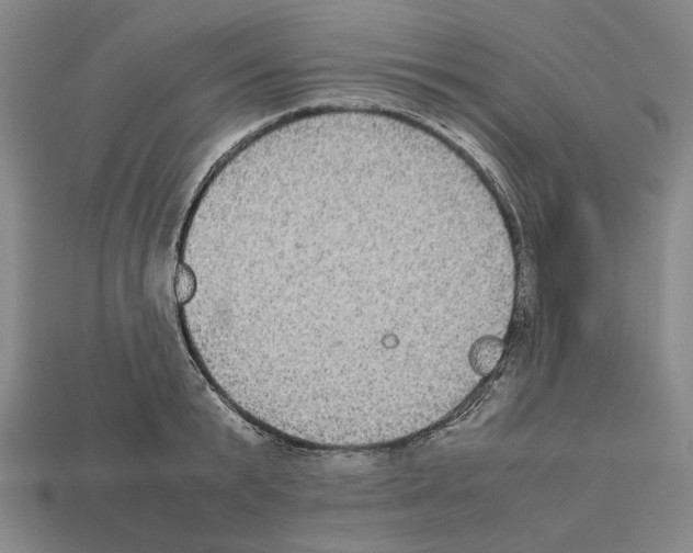 X0000112530799200909281037