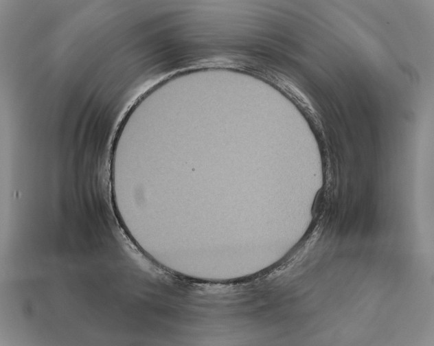 X0000112530800200909281037