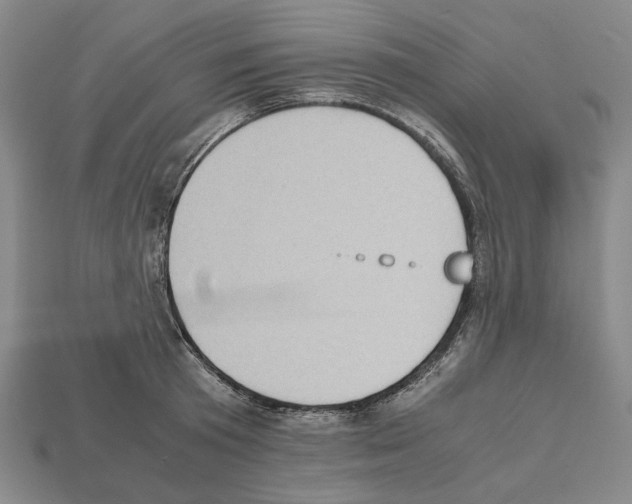 X0000112530801200909281037