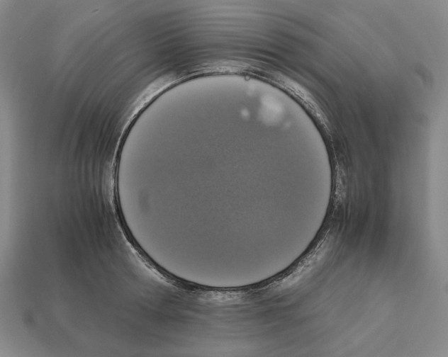 X0000112530802200909281037