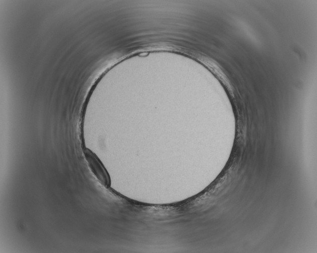 X0000112530805200909281037