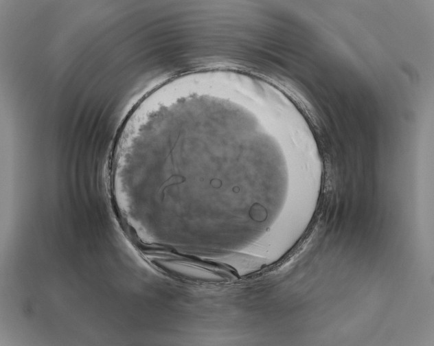 X0000112530806200909281037