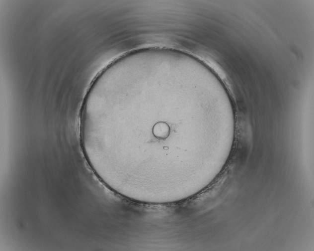 X0000112530807200909281037