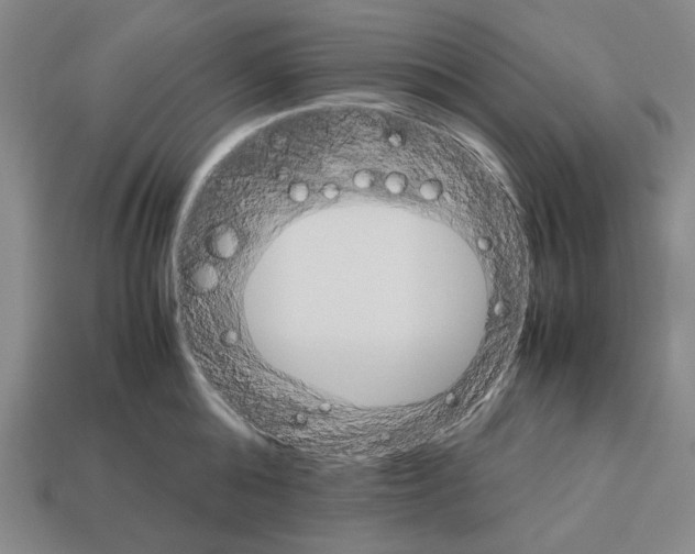 X0000112530808200909281037