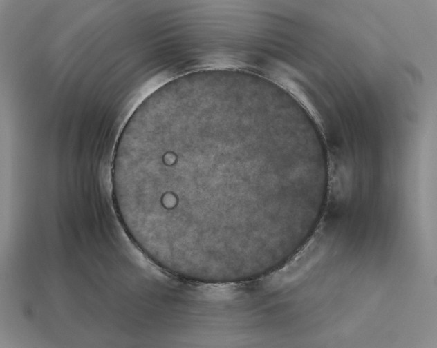 X0000112530810200909281037