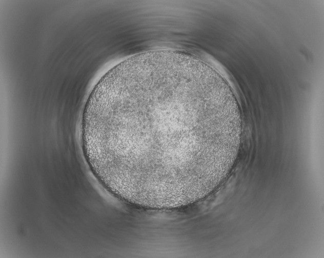 X0000112530811200909281037