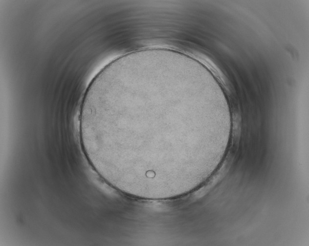 X0000112530814200909281037