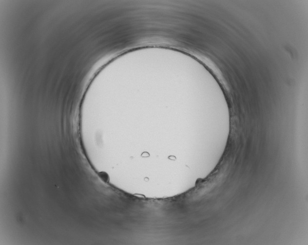 X0000112530815200909281037