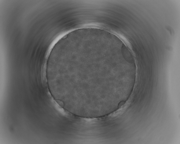 X0000112530816200909281037