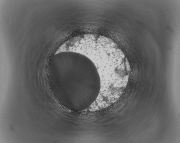 X0000112530817200909281036