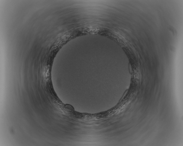 X0000112530818200909281036