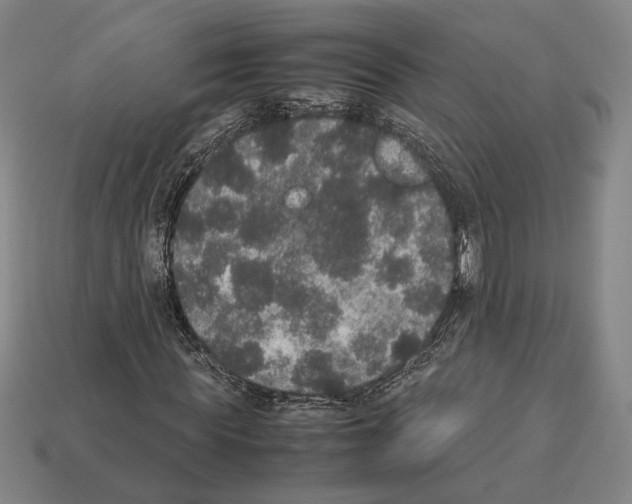 X0000112530819200909281036