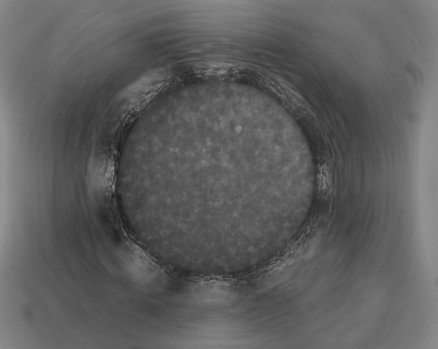 X0000112530820200909281036