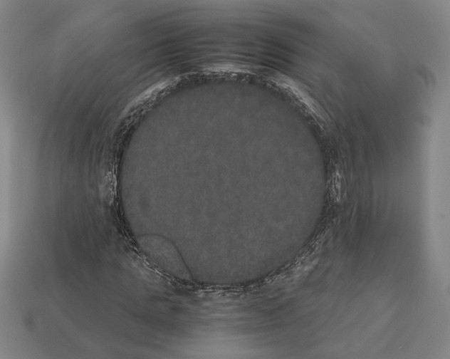 X0000112530821200909281036