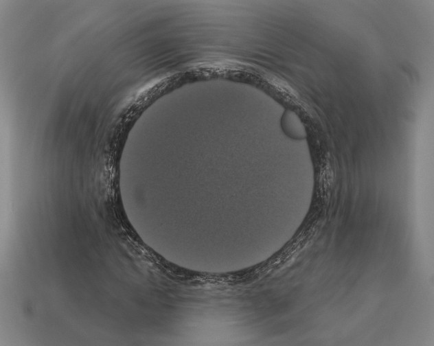 X0000112530822200909281036