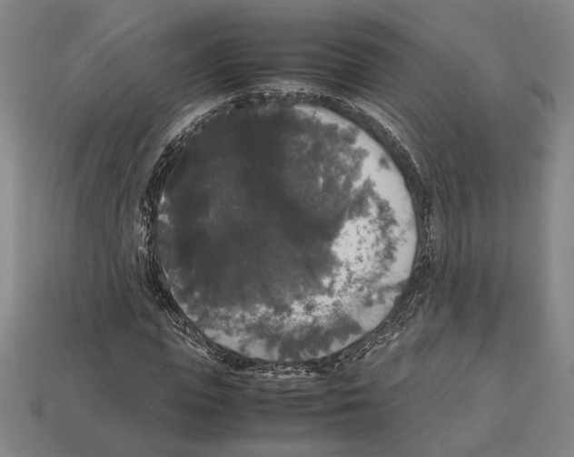 X0000112530823200909281036