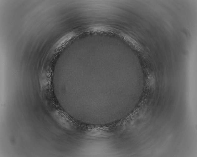 X0000112530824200909281036