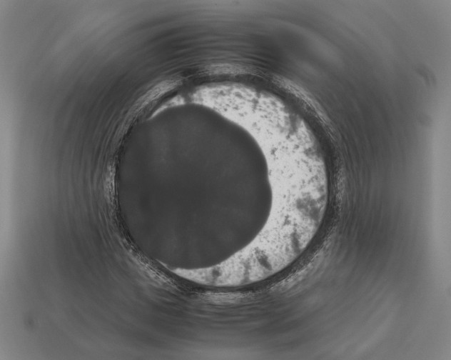 X0000112530825200909281036