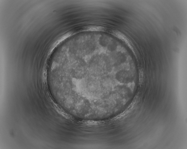 X0000112530827200909281036