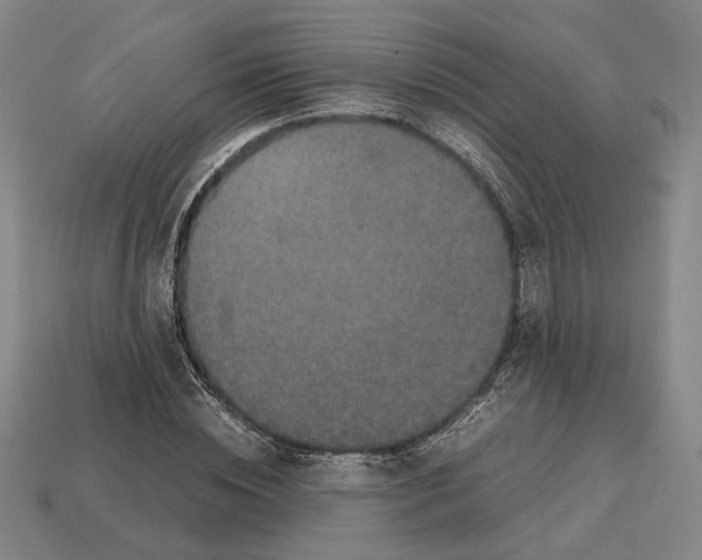 X0000112530828200909281036