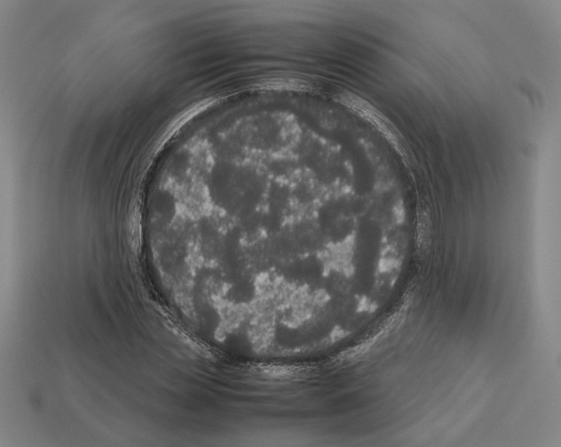 X0000112530829200909281036