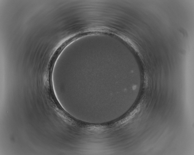 X0000112530830200909281036