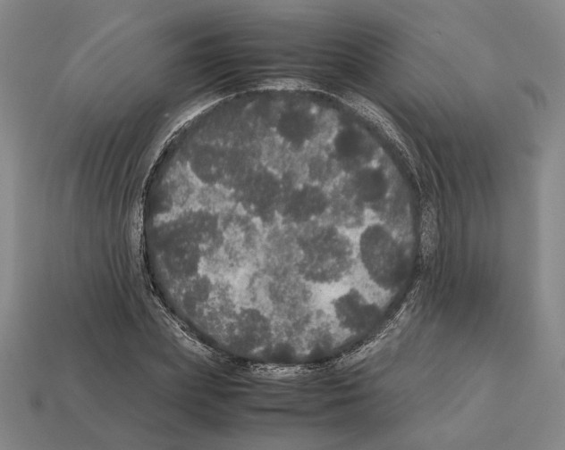 X0000112530831200909281036