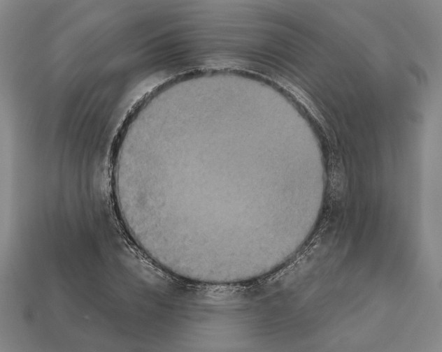 X0000112530832200909281036