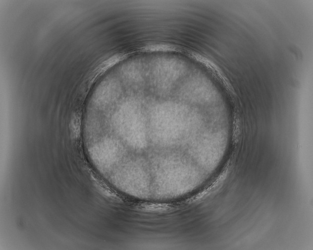 X0000112530833200909281036