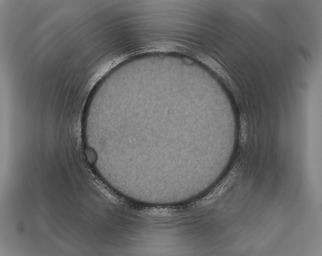 X0000112530834200909281036