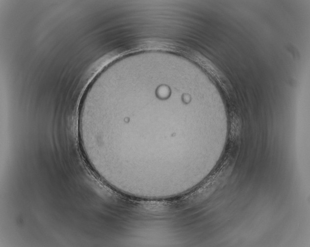 X0000112530836200909281036