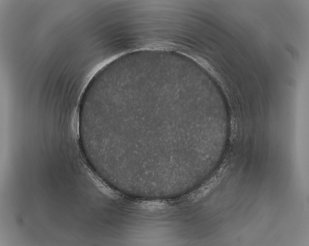 X0000112530838200909281036