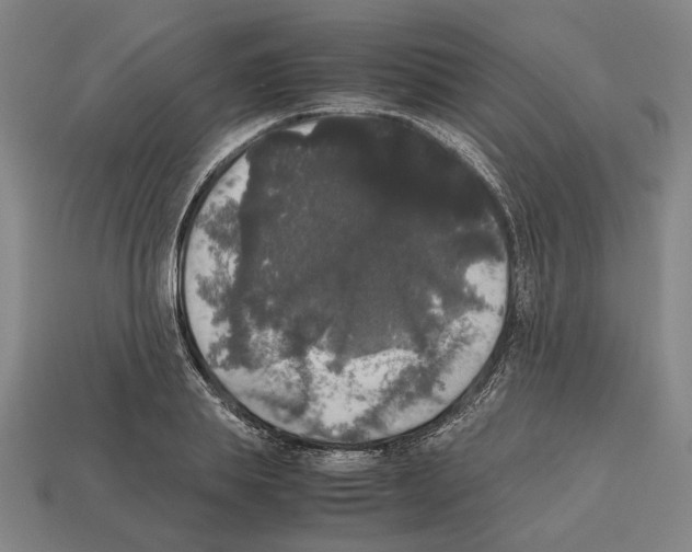 X0000112530839200909281036