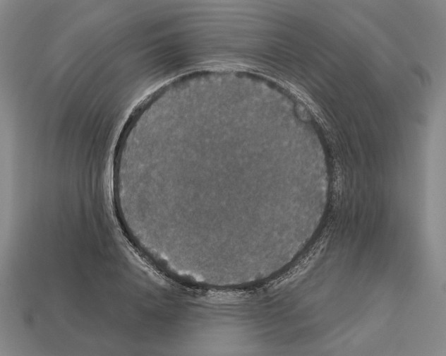 X0000112530840200909281036