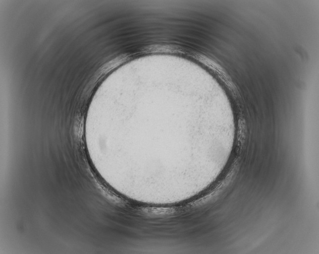 X0000112530841200909281036