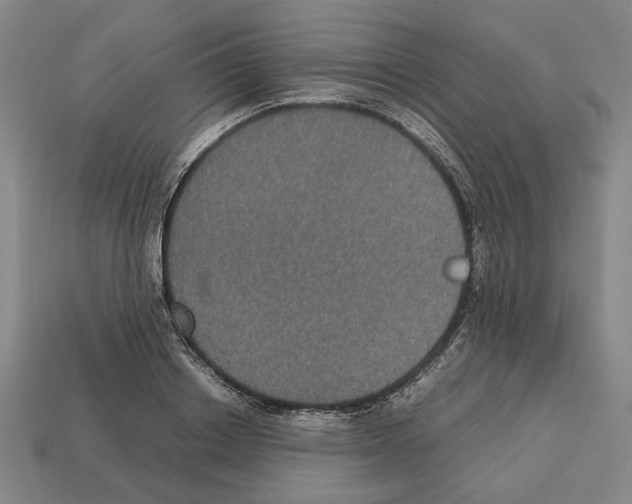 X0000112530842200909281036