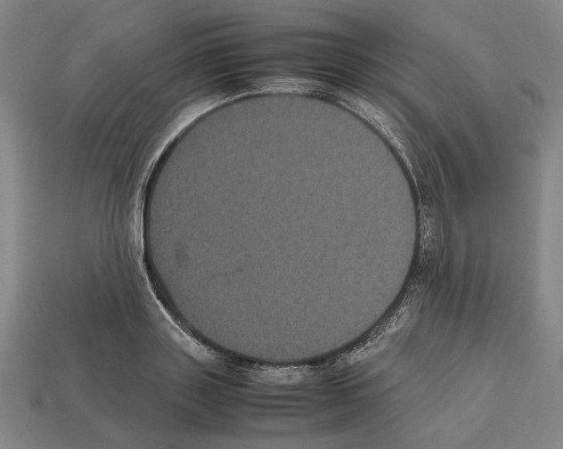 X0000112530843200909281036