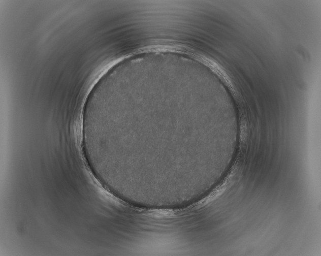 X0000112530844200909281036