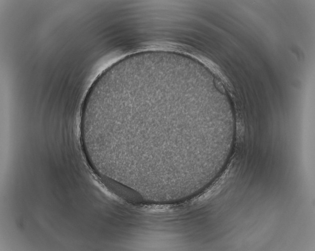 X0000112530846200909281036