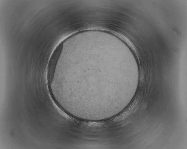 X0000112530847200909281036