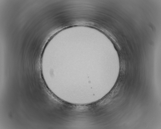 X0000112530848200909281036